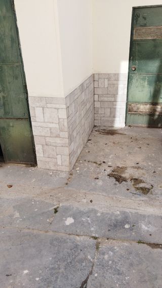 Albañil profesional