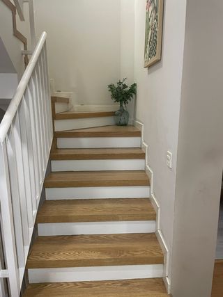 Albañil profesional