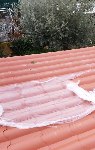 Albañil profesional