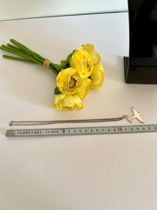 Gargantilla y Colgante avion Plata