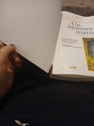 Un incontro inatteso B
