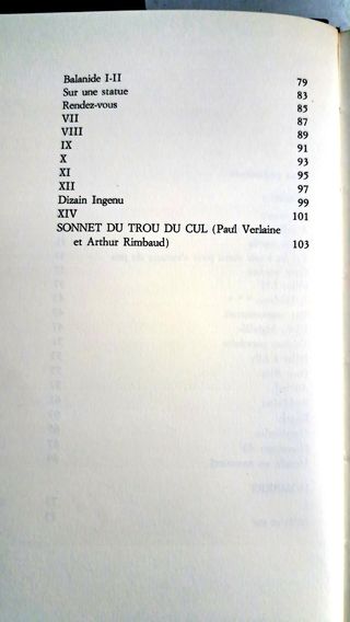 Libro La bottega dell'antiquario - P. Verlaine/Fem