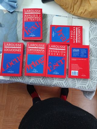 Larousse Gramatica Manual Practico