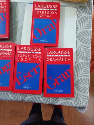 Larousse Gramatica Manual Practico