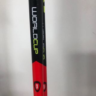 Atomic Skis, Leki poles, Ski bag