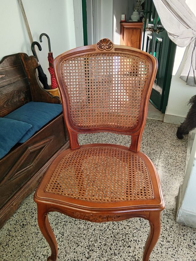 Sedie in paglia di Vienna