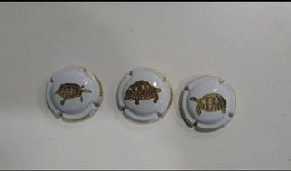 3 placas cava - tortugas