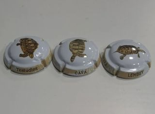 3 placas cava - tortugas