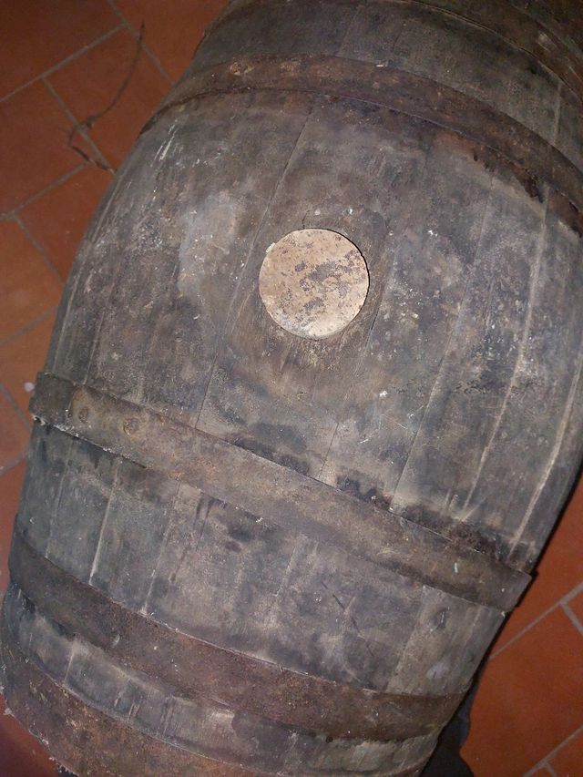 Bota de vino