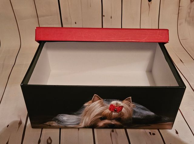 Caja Yorkshire terrier