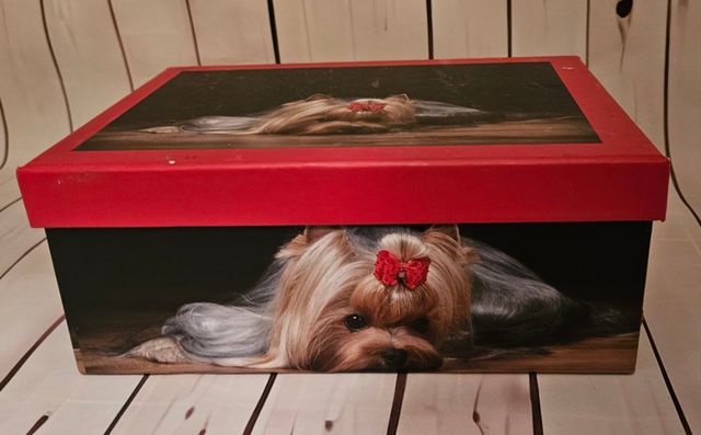 Caja Yorkshire terrier