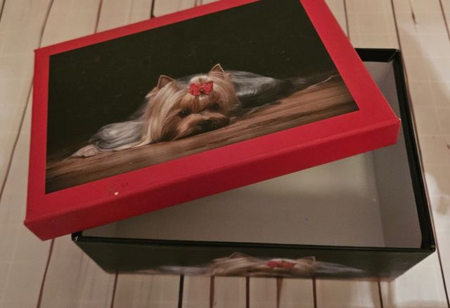 Caja Yorkshire terrier