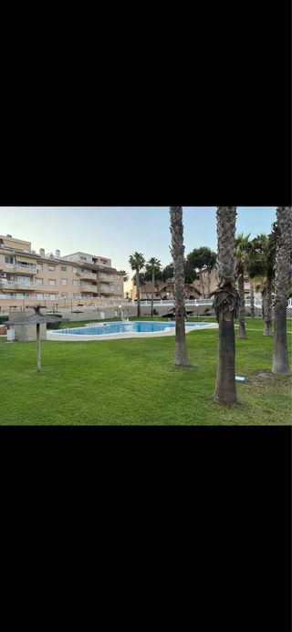 Alquiler vacacional Guardamar del Segura. Alicante