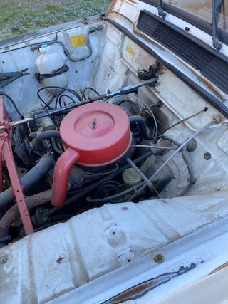 Renault R4 F6 rat style