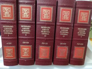 Vendo colección 17 diccionarios Larousse Agostini.