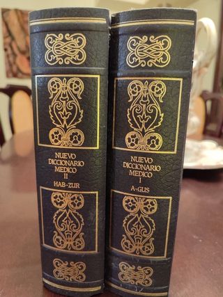 Vendo colección 17 diccionarios Larousse Agostini.