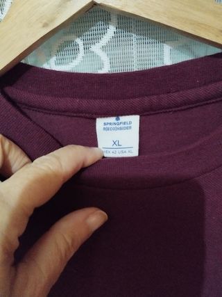 Camiseta de chico Springfield