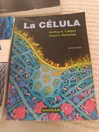 Neuroanatomía clínica: Edición revisada (Spanish E