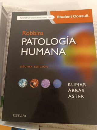 Neuroanatomía clínica: Edición revisada (Spanish E