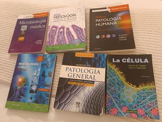 Neuroanatomía clínica: Edición revisada (Spanish E