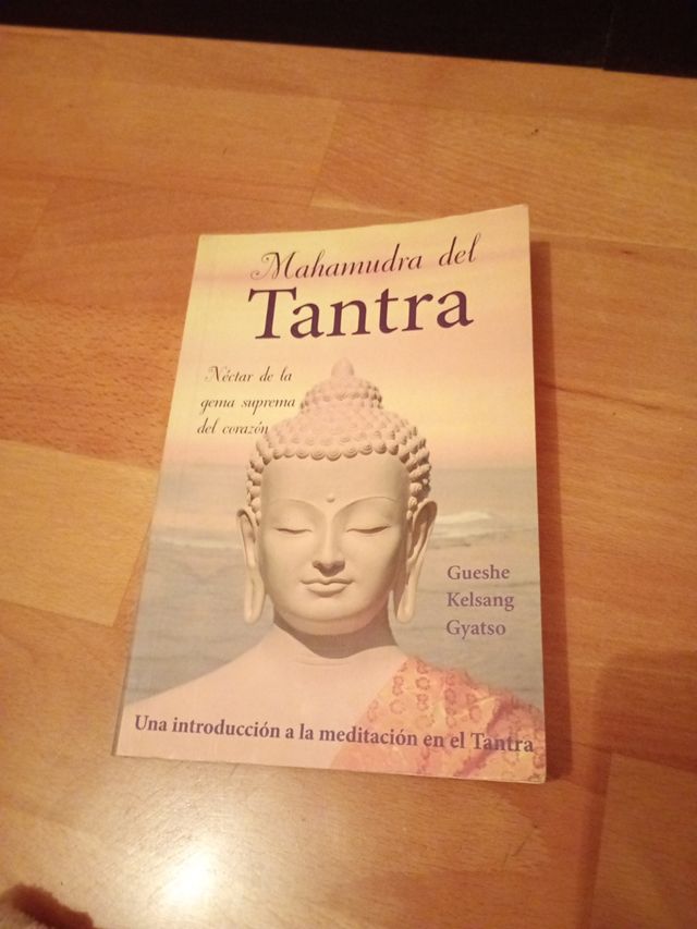 Mahamudra del tantra (Mahamudra Tantra): Una introducción a la meditación en el tantra (Spanish Edition)