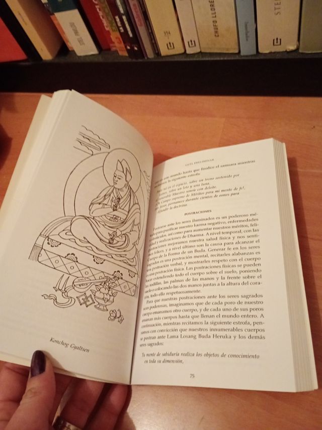 Mahamudra del tantra (Mahamudra Tantra): Una introducción a la meditación en el tantra (Spanish Edition)