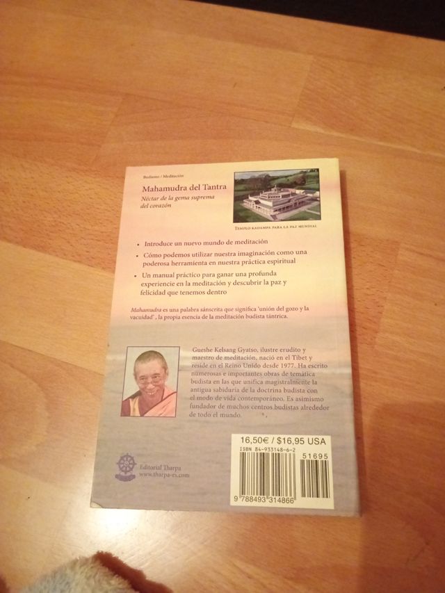 Mahamudra del tantra (Mahamudra Tantra): Una introducción a la meditación en el tantra (Spanish Edition)