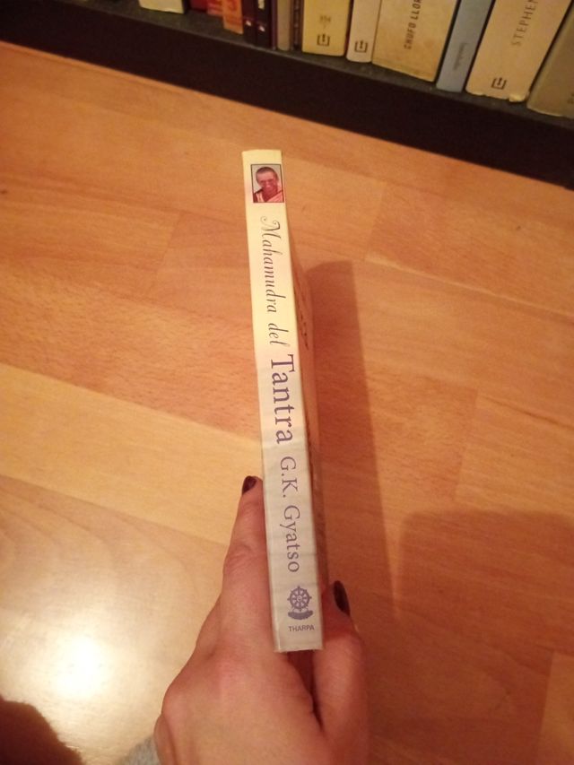 Mahamudra del tantra (Mahamudra Tantra): Una introducción a la meditación en el tantra (Spanish Edition)