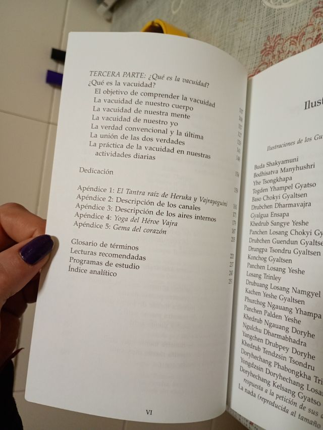 Mahamudra del tantra (Mahamudra Tantra): Una introducción a la meditación en el tantra (Spanish Edition)