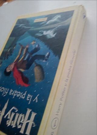 Harry Potter y la piedra filosofal.