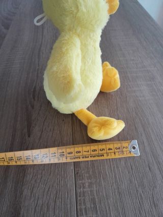 Peluche 