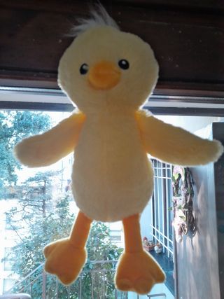 Peluche 
