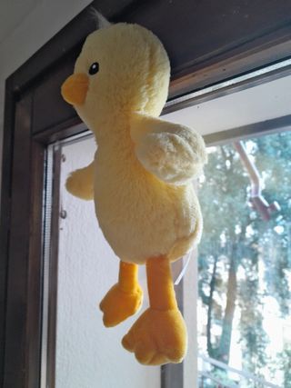 Peluche 
