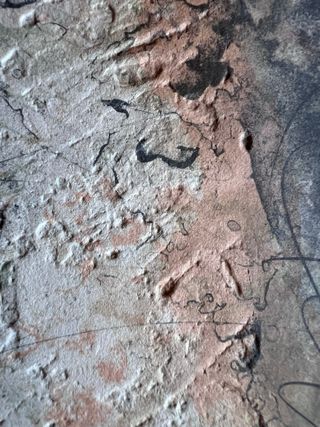 Litografía Baruj Salinas 72