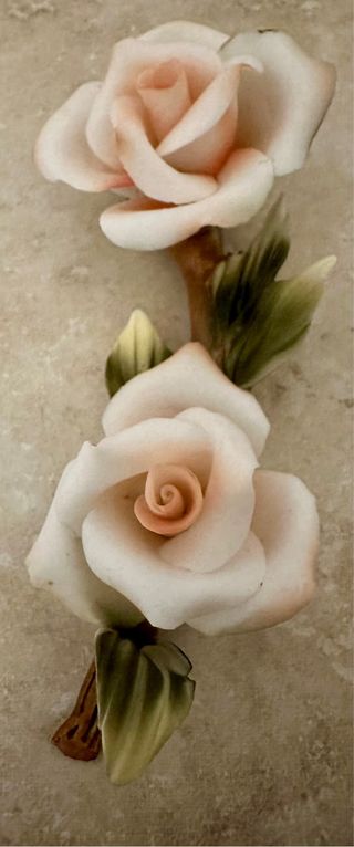 Ramo rose scatola raso Mollica