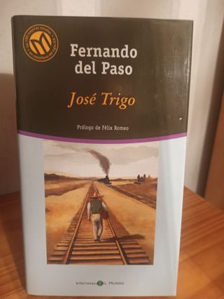 El obsceno pájaro de la noche.
