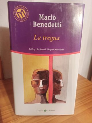 El obsceno pájaro de la noche.