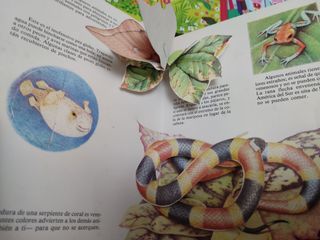 Vendo libros infantiles didácticos