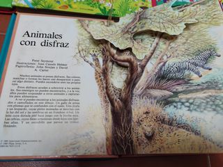 Vendo libros infantiles didácticos