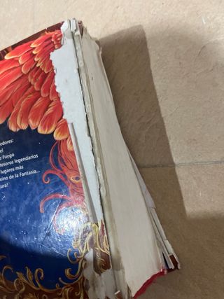 Libro Gerónimo Stilton reino de la fantasía