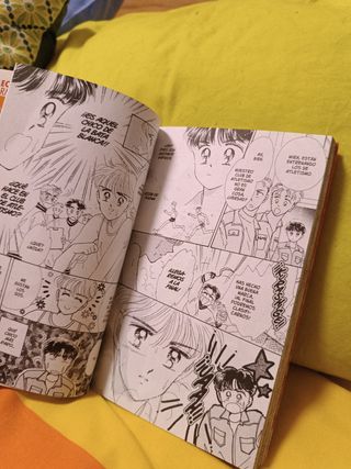 Comic Manga "gemelas milagrosas"