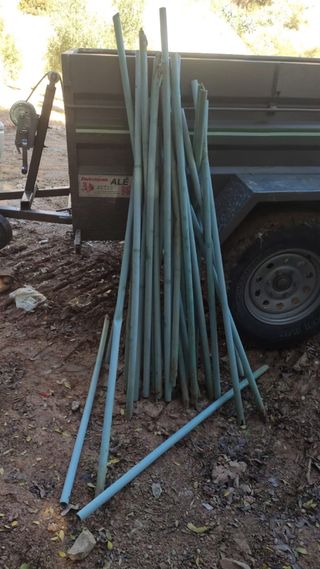 Tutores de olivo