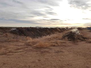 Humus, compost, abono orgánico, tierra vegetal