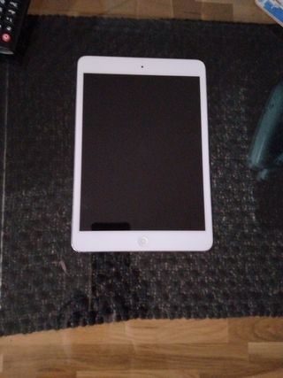 iPad mini