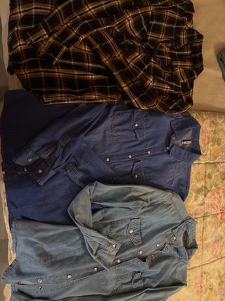 Lote 3 camisa