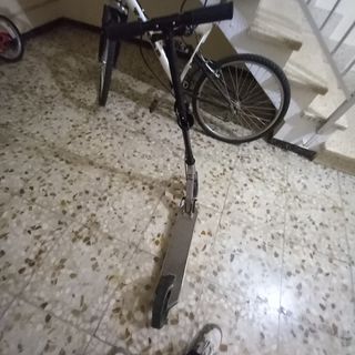 Patin