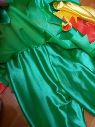 Disfraz hombre de primavera