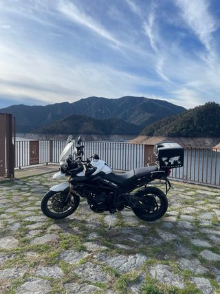 Triumph tiger 800 limitable A2