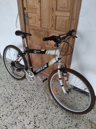 Bicicleta