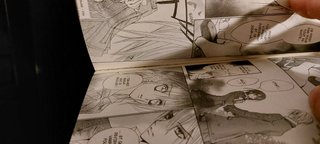 Vampire Knight Matsuri Hino Panini Manga